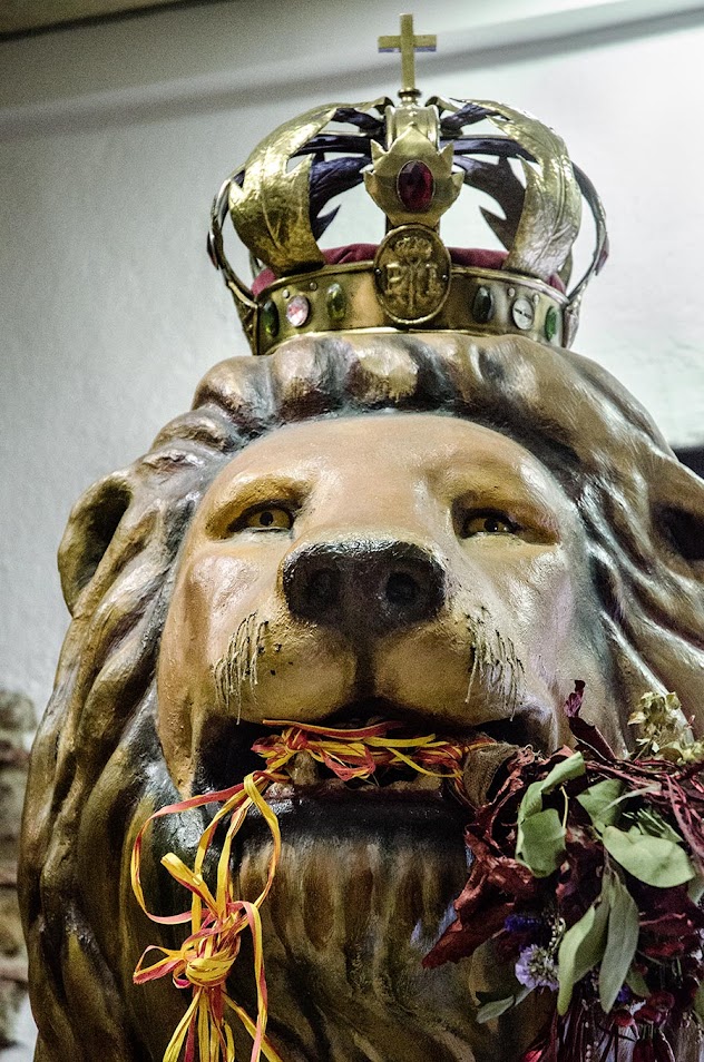 The lion of Barcelona - Beasts of the city