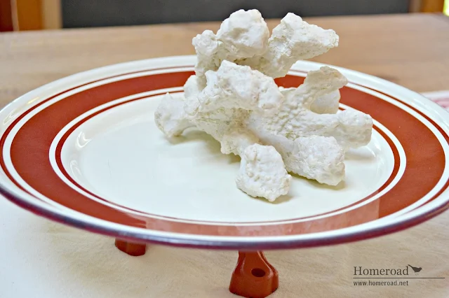 Red and white dish with coral