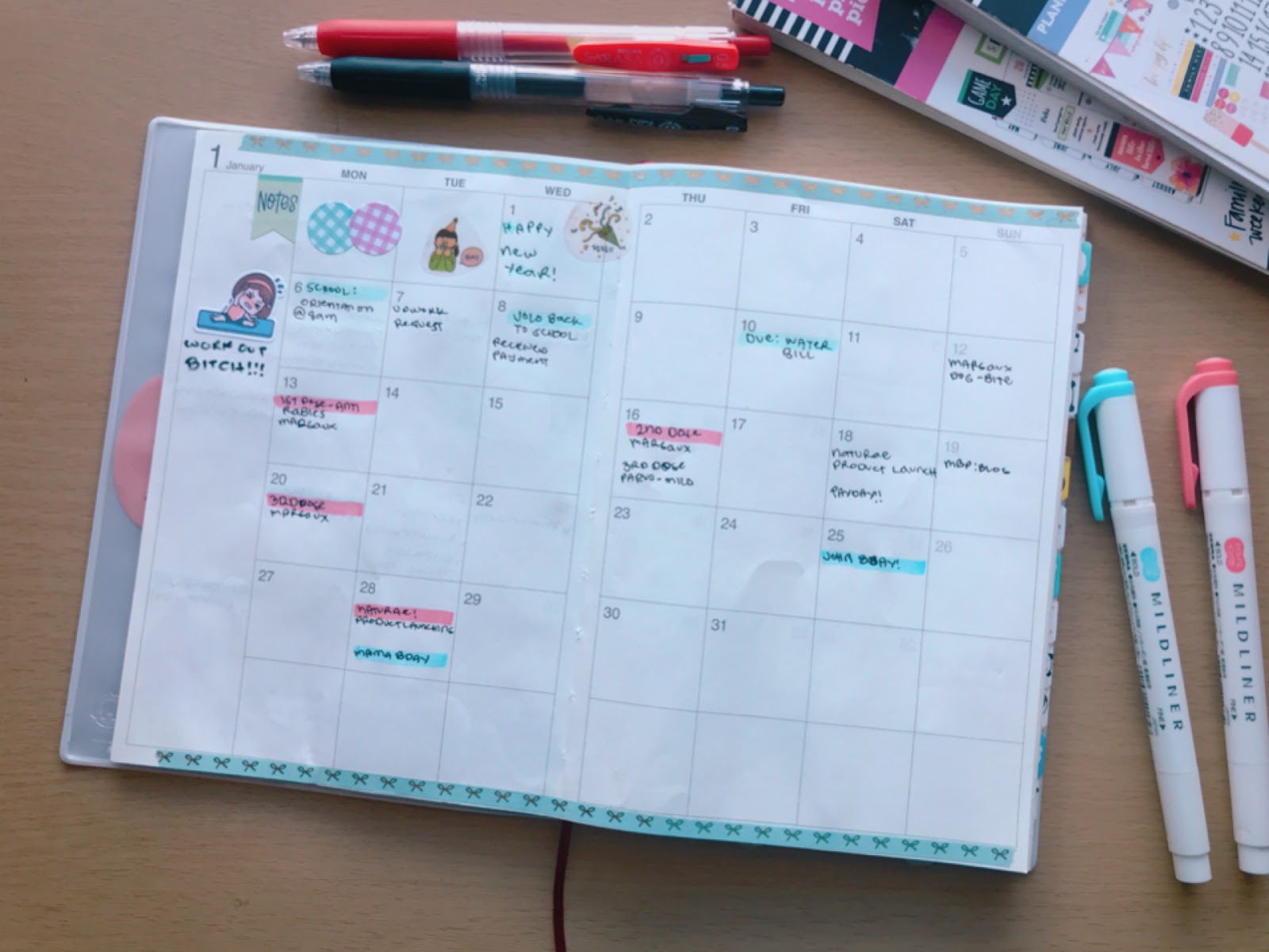 Muji Planner 2020 Minimalist & Functional Planner for Moms Mommy Korai