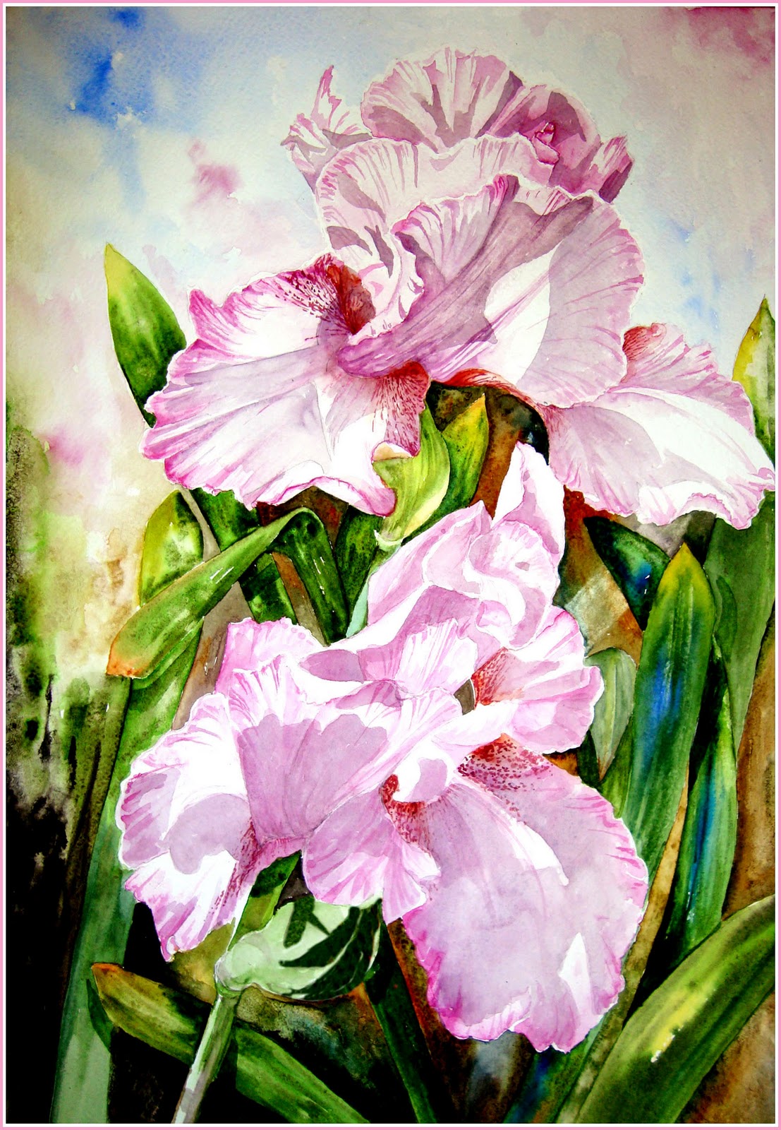 Watercolour Florals: Daniel Smith Paints