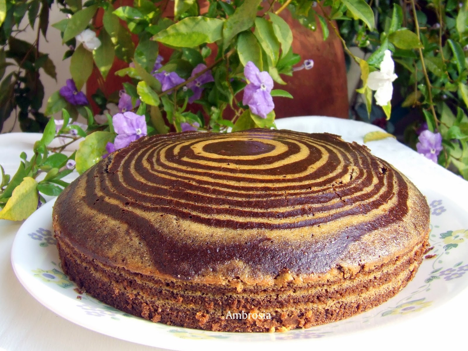 ZEBRA CAKE TWO WAY (With Eggs and Egg less) Ambrosia