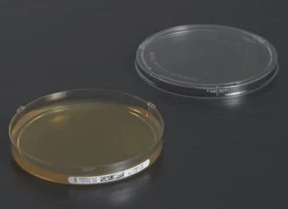 Settle Plate Method of Environmental Monitoring