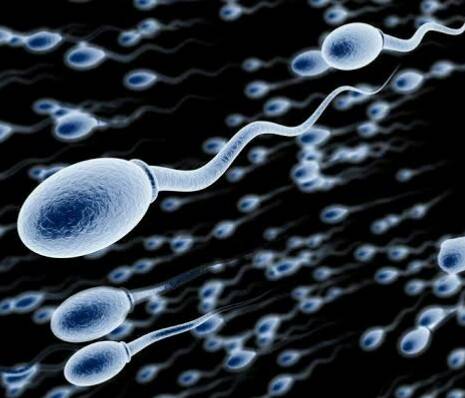 5 Things You Didn't know You Could Do With Sperm