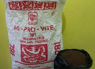 Rekomendasi Pakan Ikan Lele Supaya Cepat Besar Ikanesia Id