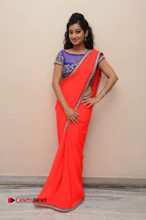 Actress Tejaswini Pictures in Saree at Pratikshanam Audio Launch  0114