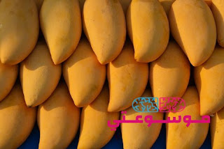 تفسير رؤية المانجـو في الحلم بالتفصيـل