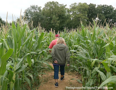 Strite's Orchard Farm Market Corn Maze in Harrisburg Pennsylvania