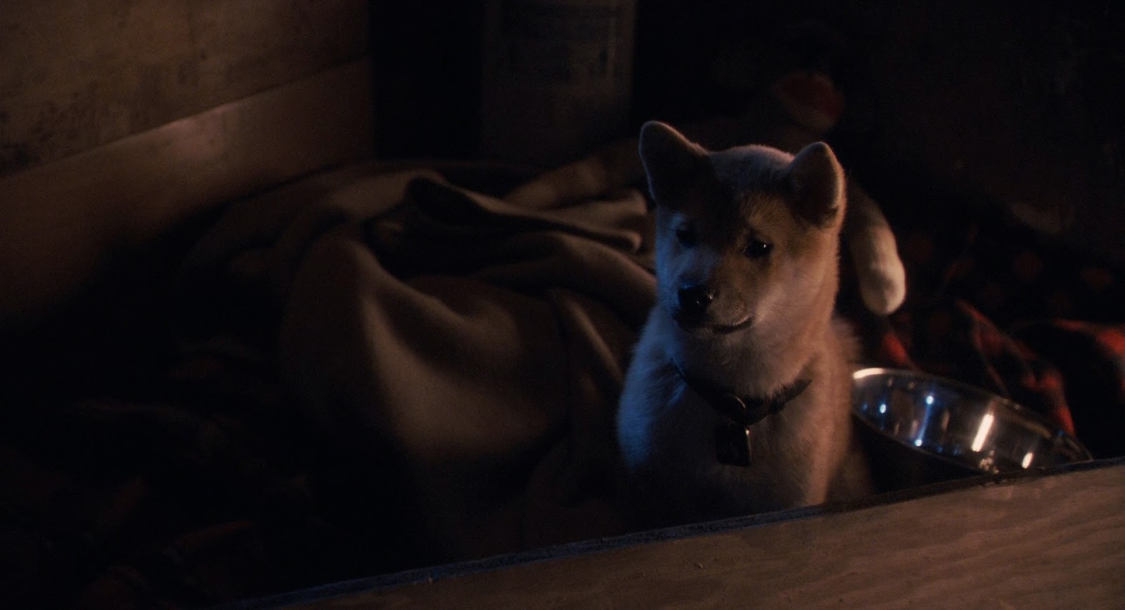Hachiko+Siempre+a+tu+lado+%282009%29+FULL+HD+1080p+BDRip+Latino+-+Ingles+-+Descargatepelis.com.mkv_snapshot_00.10.05_%5B2020.01.11_08.20.10%5D.jpg (1600×867)
