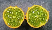 Fruit of African Horned-Melon