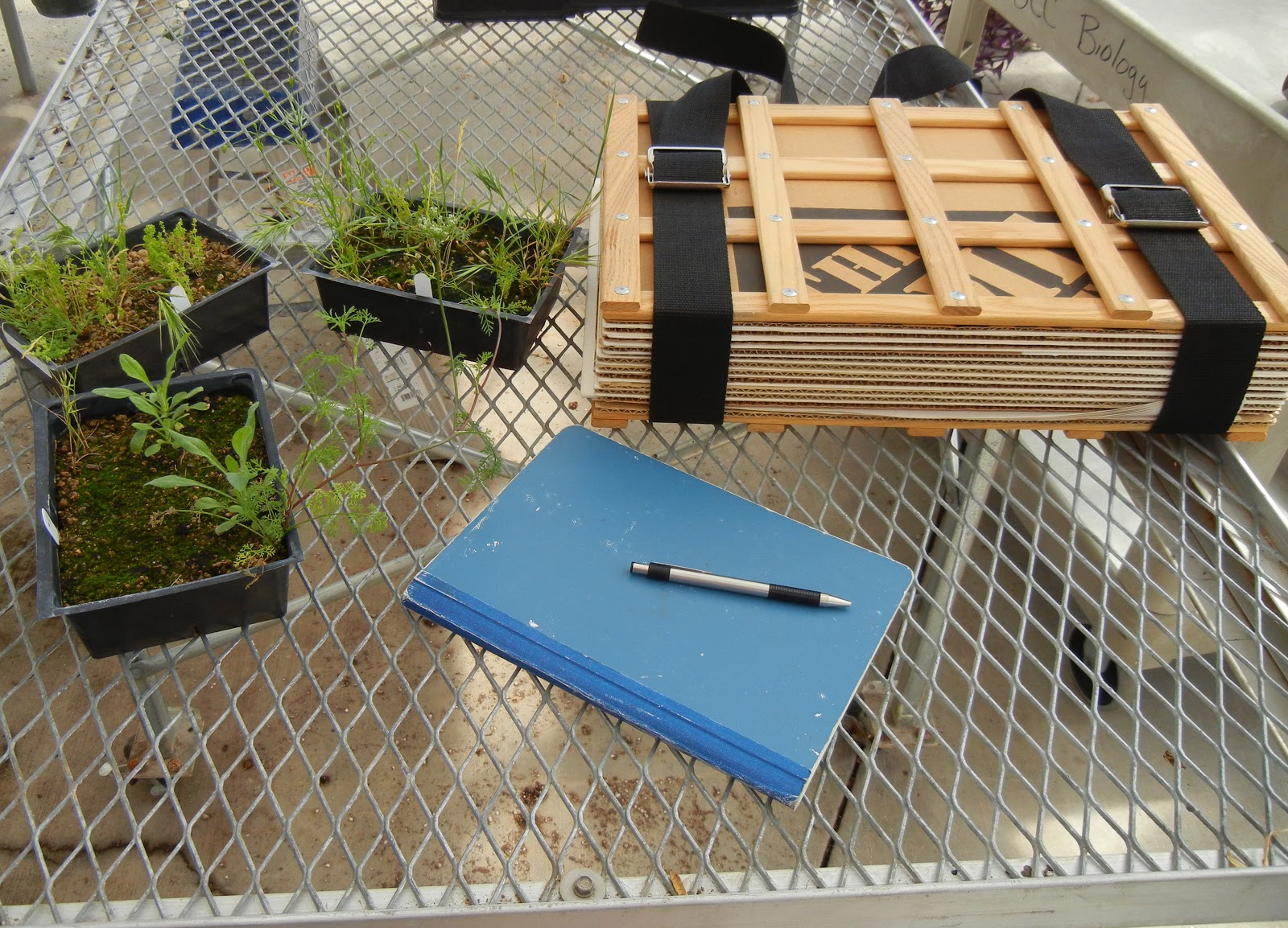 Field Institute Seed Bank finally a Pressing Post!