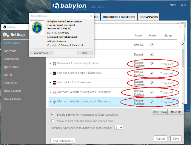Babylon NG Pro v11.0.1.2 Free Download Full