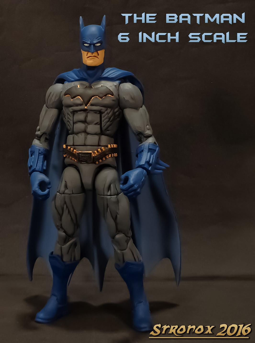 Batman: Rebirth (DC Universe) Custom Action Figure