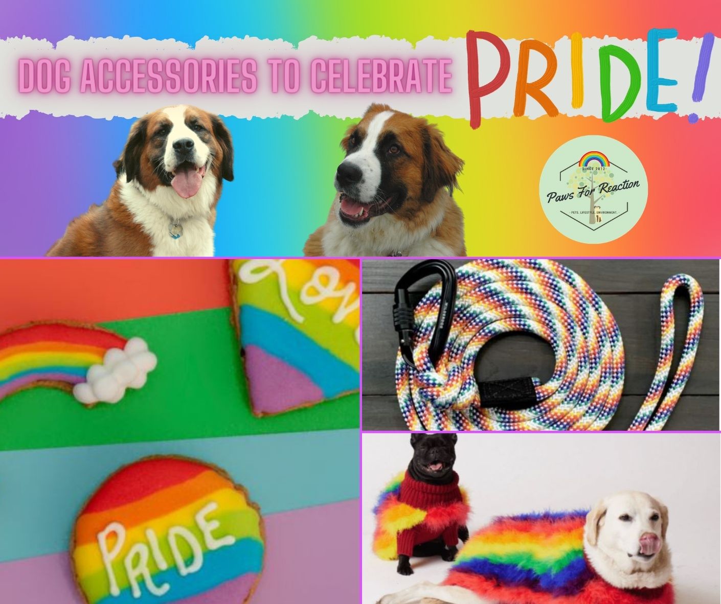 pride dog accessories