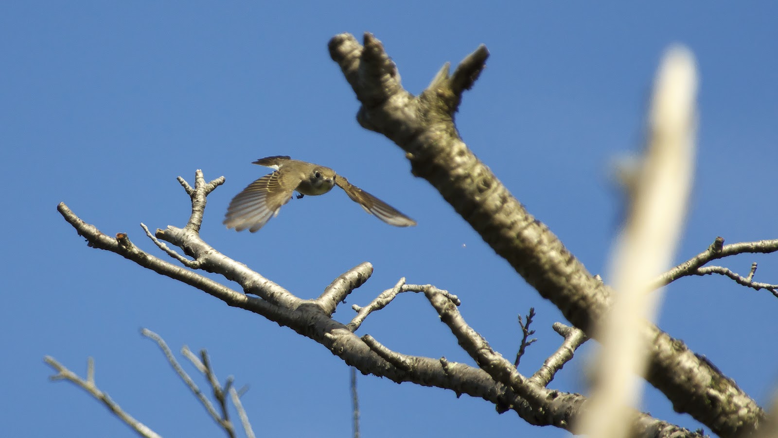 文の途中に何または何がありますか？