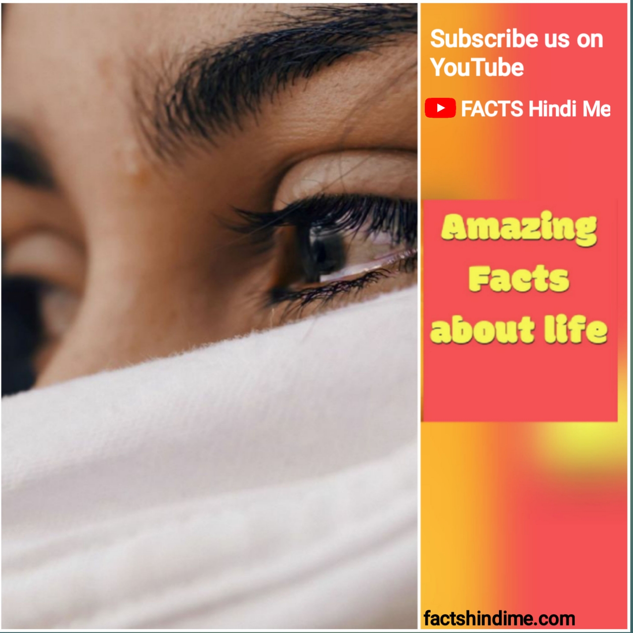 Amazing Facts About Life In Amazing Facts About Life In
