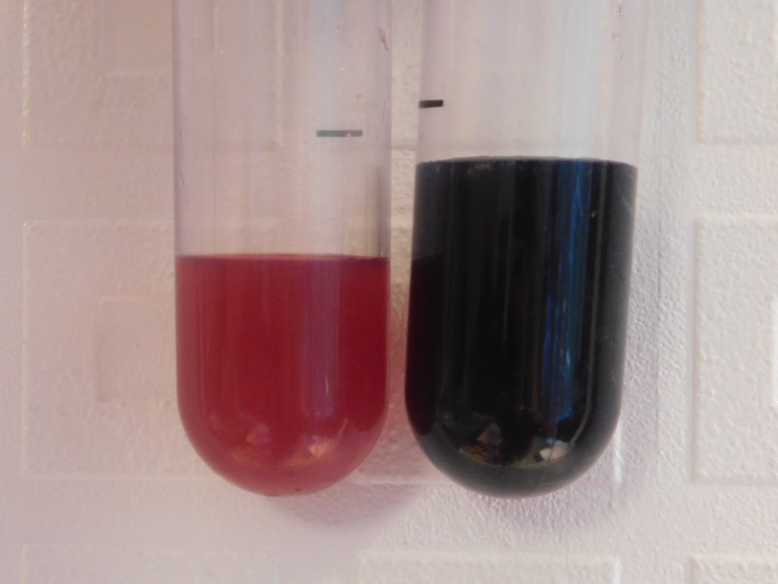 Blueberry pH indicator