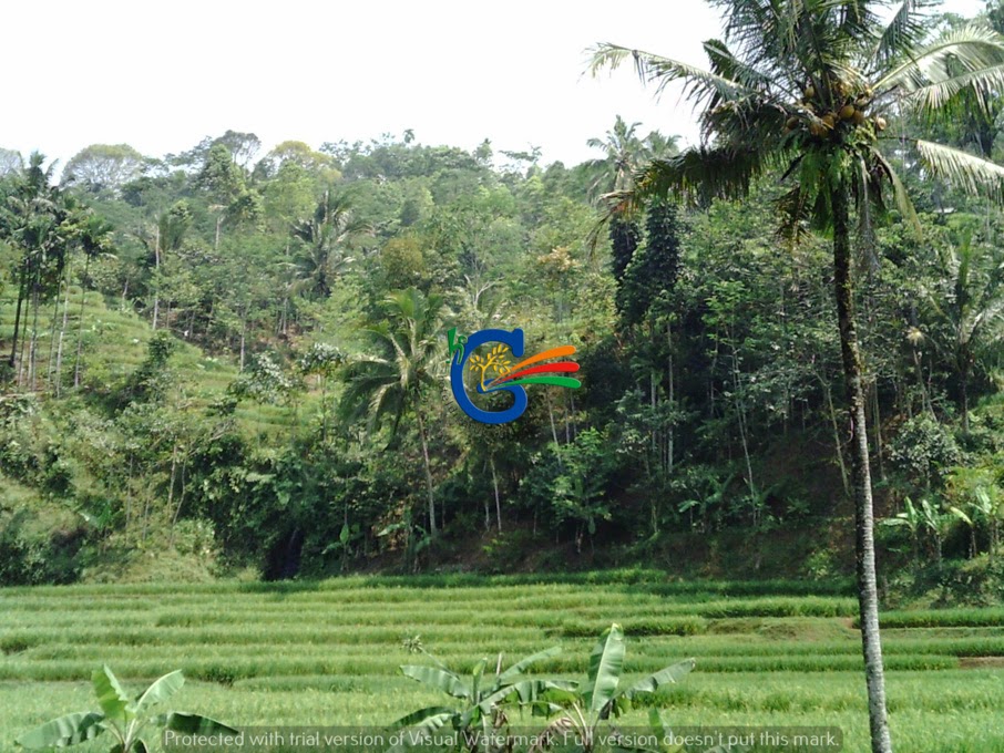 Top Info 40+ Liburan Di Garut Tidak Ada Ulasan Tujuan ...