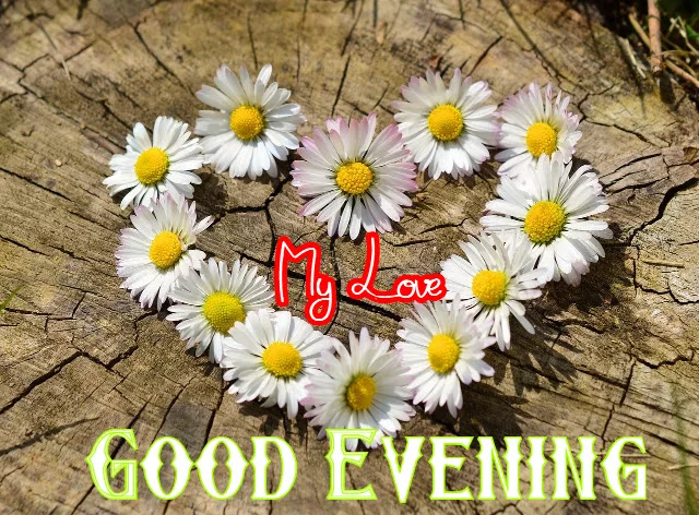 Good Evening Images Good Evening Images