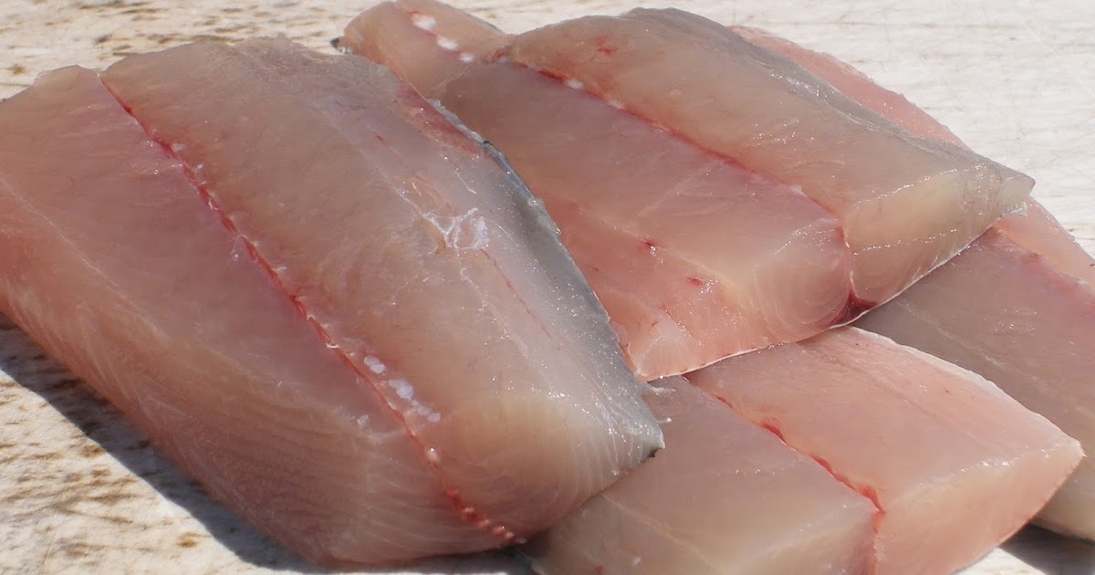 Price of Mackerel per Kg by Product Mackerel Fish Supplier