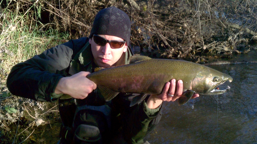 Illinois Wisconsin Fishing The Tribs
