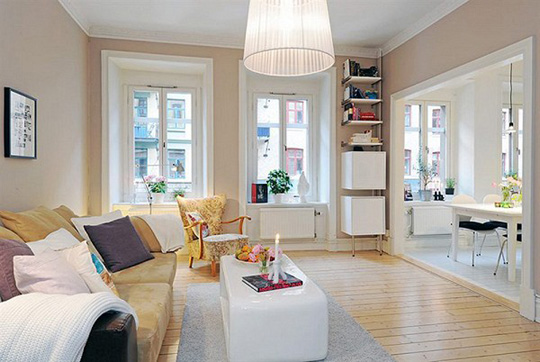 Simple apartment living room ideas