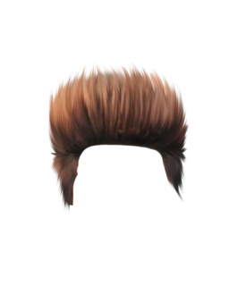 Top 200 Hair Png Download All New Cb Hairstyle Png For Picsart