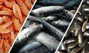 Sea Food - nutrients