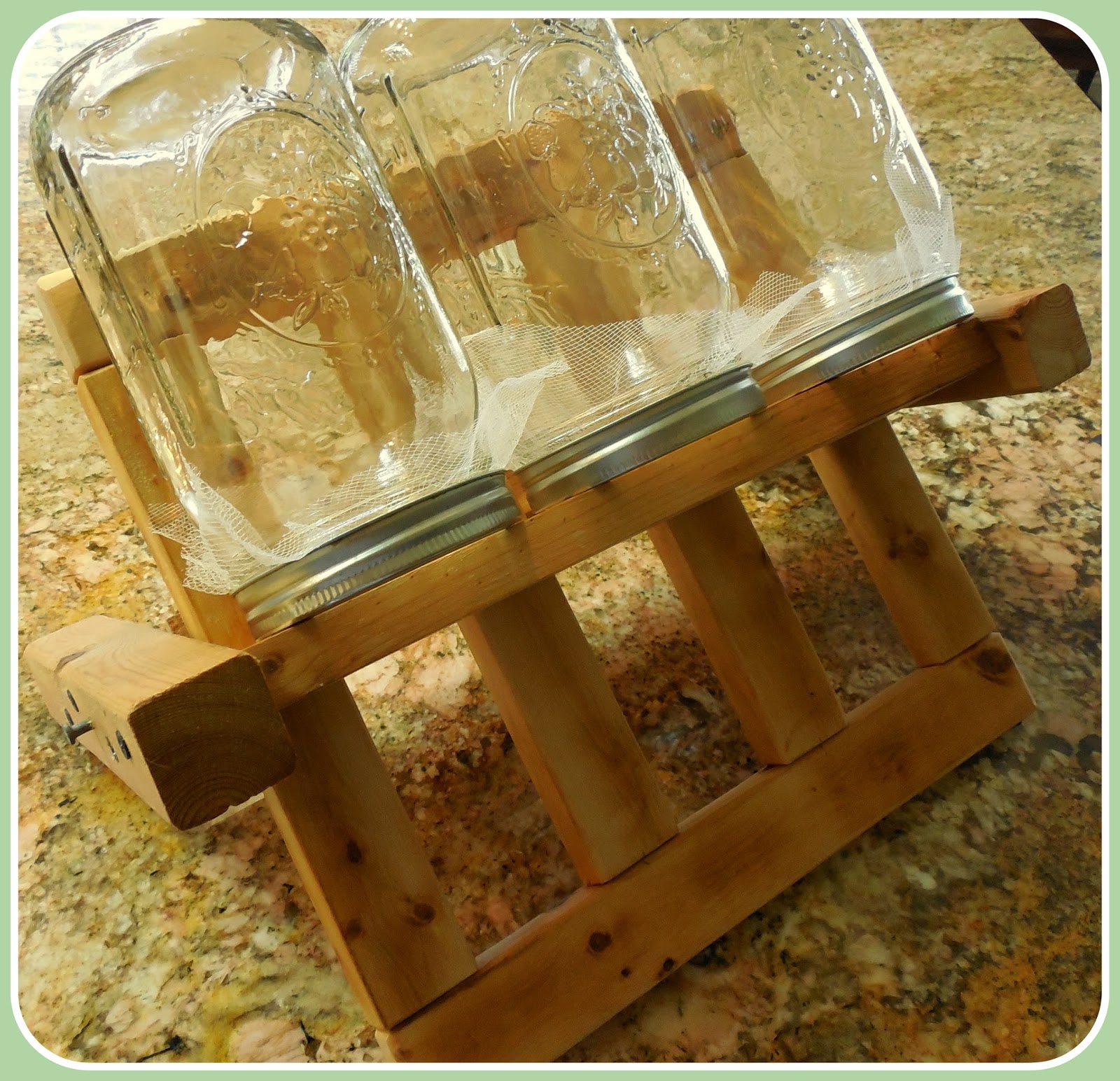 Wit's End Farm Growing Sprouts at Home!