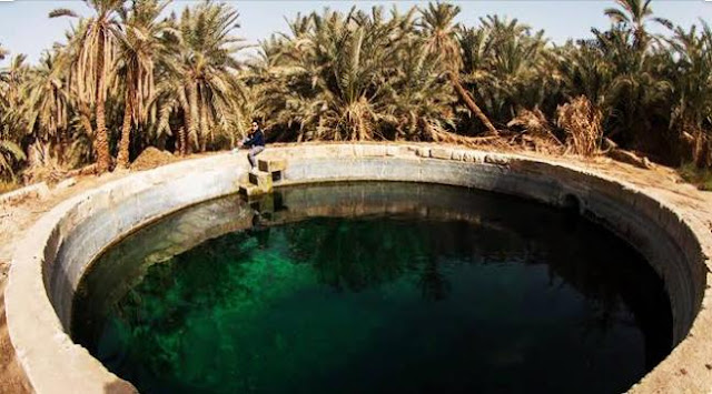 واحة سيوة واحة سيوة