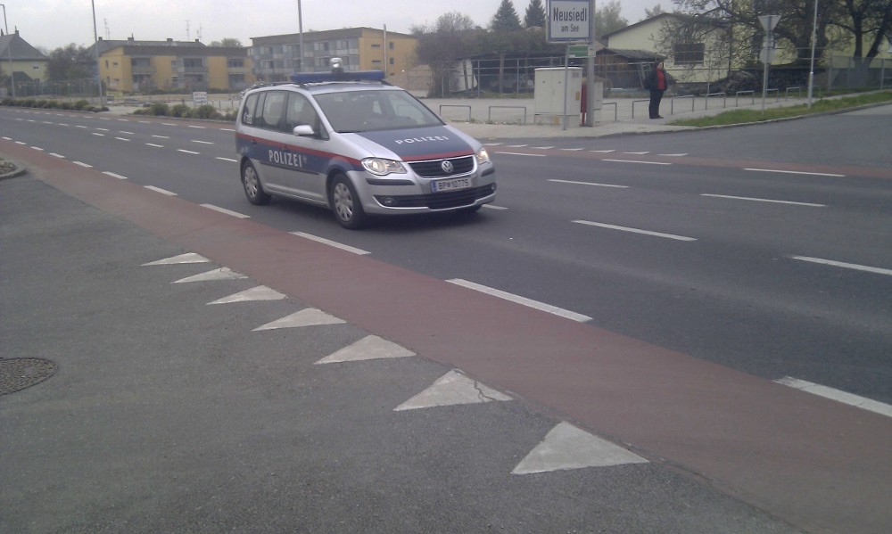 CROWize Vienna Sharks Teeth.