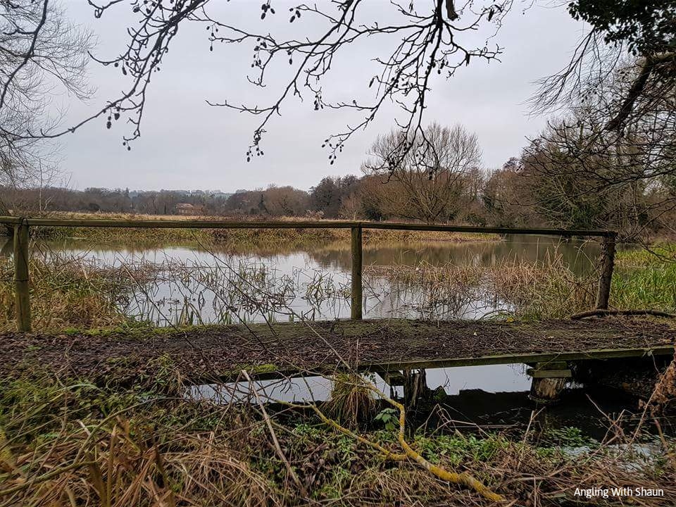 ANGLING WITH SHAUN The River Beult, Hunton, near Maidstone, Kent