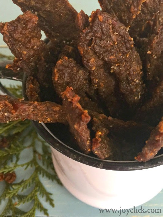 Homemade BEEF JERKY the quick & easy way! (We think this recipe is