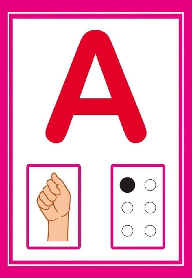 Alfabeto com libras e braile Cards coloridos e ilustrados com letra