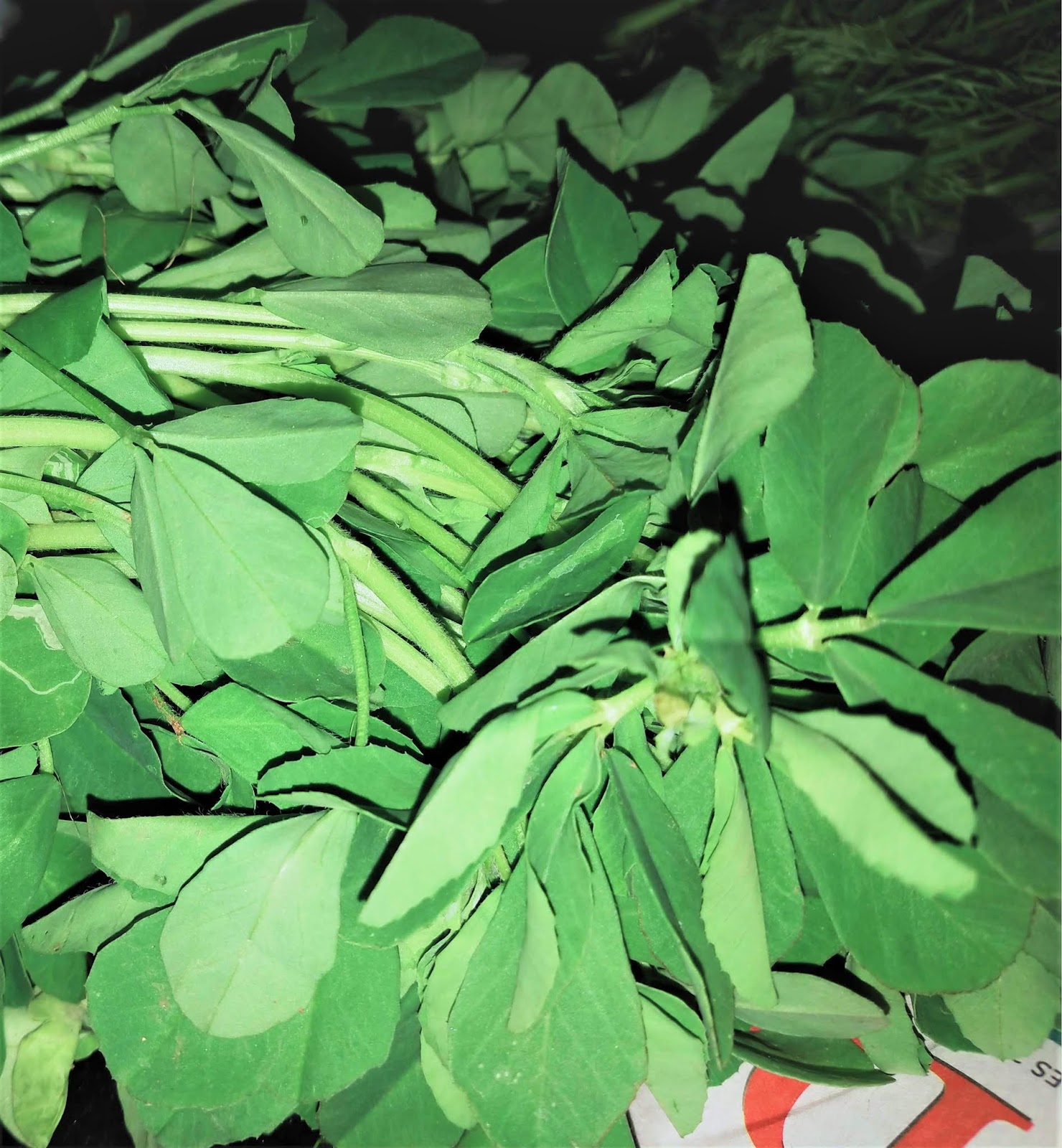 Blog for kannada lovers and learners Green leafy Vegetable names in