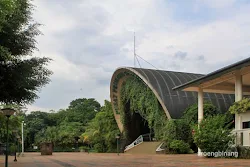 pusat primata schmutzer kebun binatang ragunan jakarta