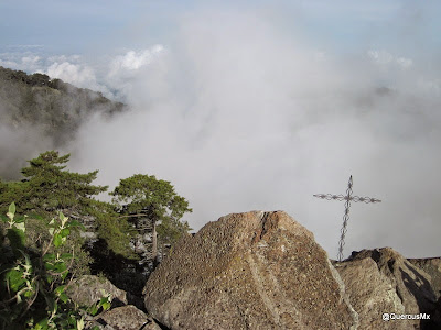 La Cruz en la Tetilla - Volcán de Tequila