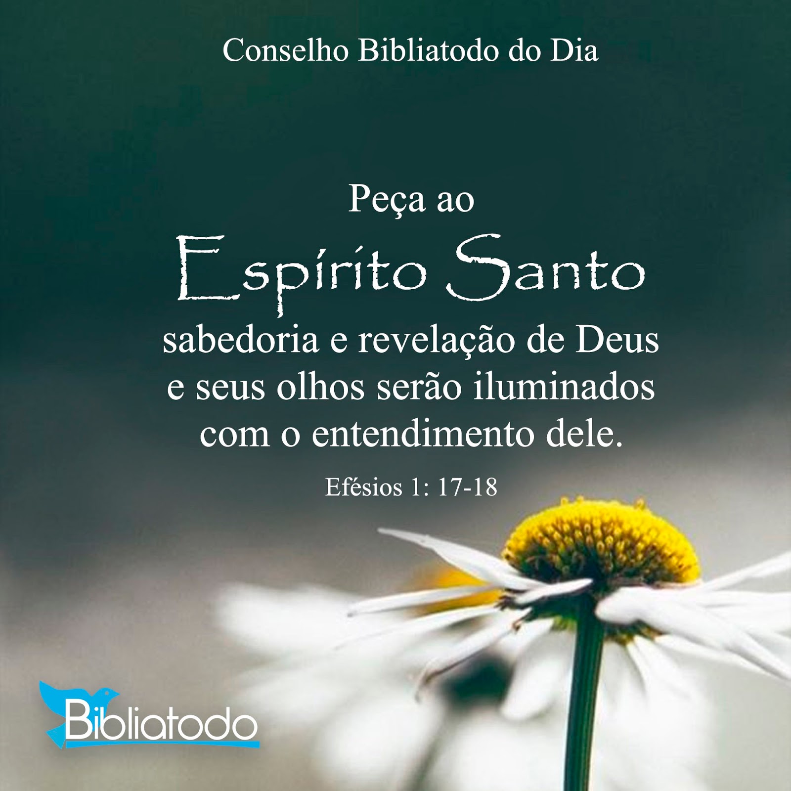 Https://Www.Passagenspromo.Com.Br/Blog/Espirito Santo/ - ykarynu