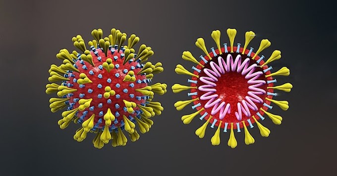 Coronavírus mobiliza pesquisadores em nova corrida global por vacina