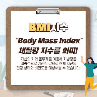 bmi의 의미를 계산하는 체질량 지수로 비만도 체크! 2
