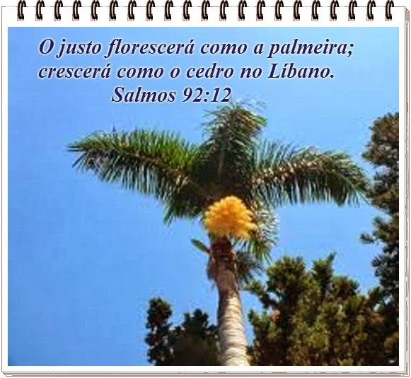Palavra Eficaz : Como palmeira- Salmos 92