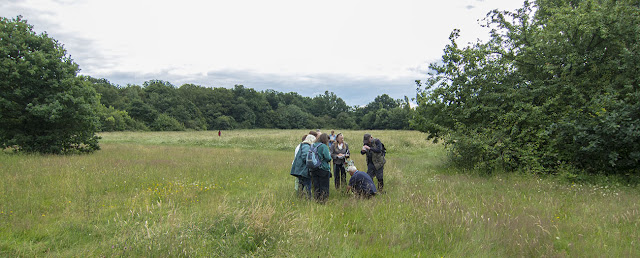 The group identifying a butterfly.  Jubilee Country Park butterfly walk, 15 July 2012.
