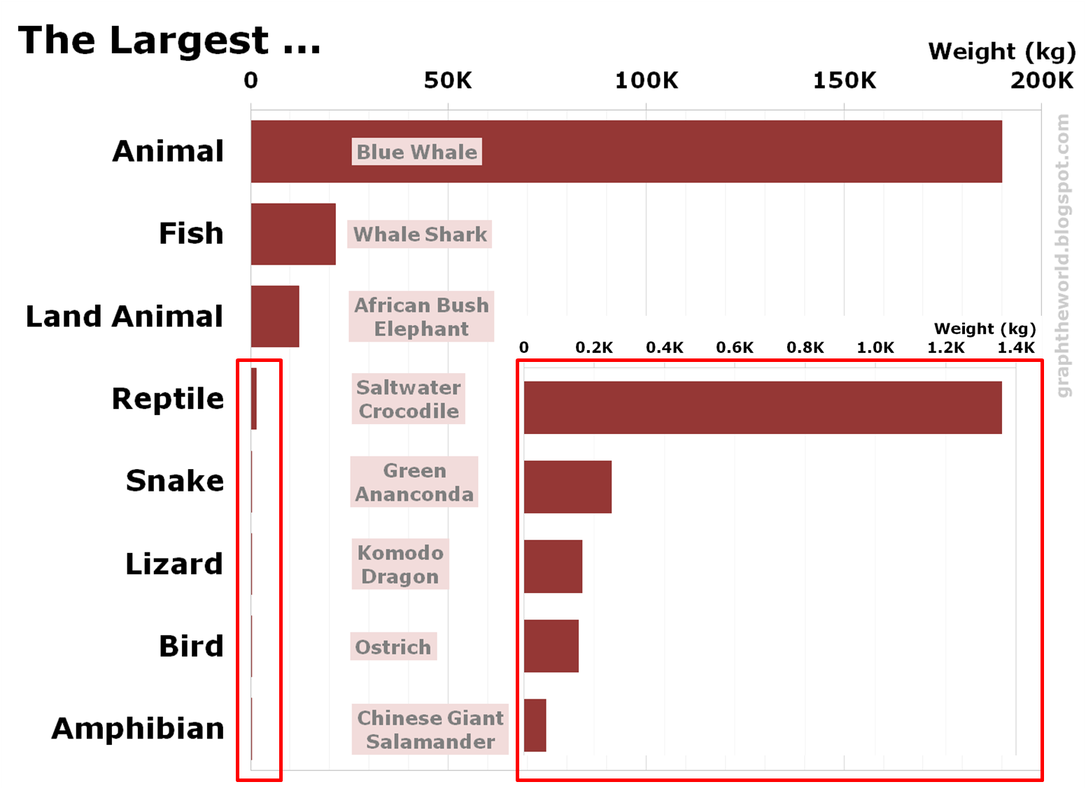 Graph the World: Graph: The Largest Animals in The World
