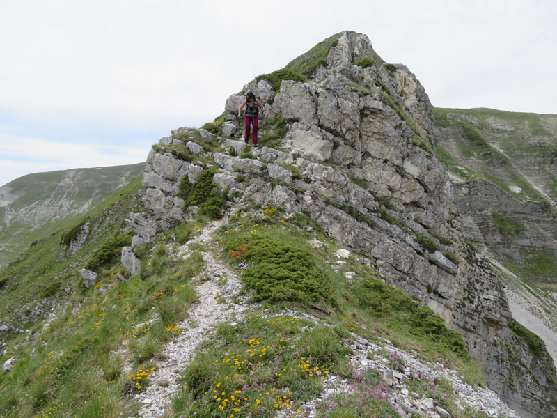 Escursionismo a 360° Croce di monte Bove (dalla cresta ovest) F