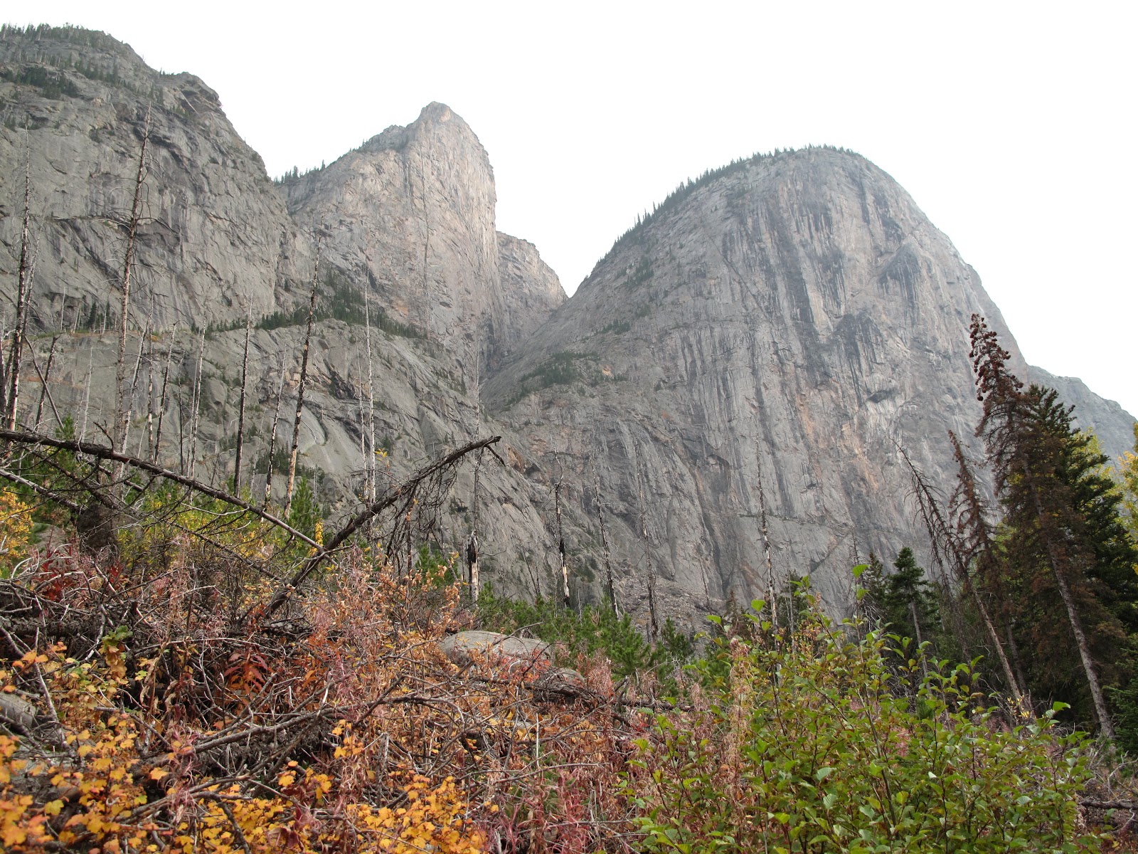 Rusty Willis Climbing