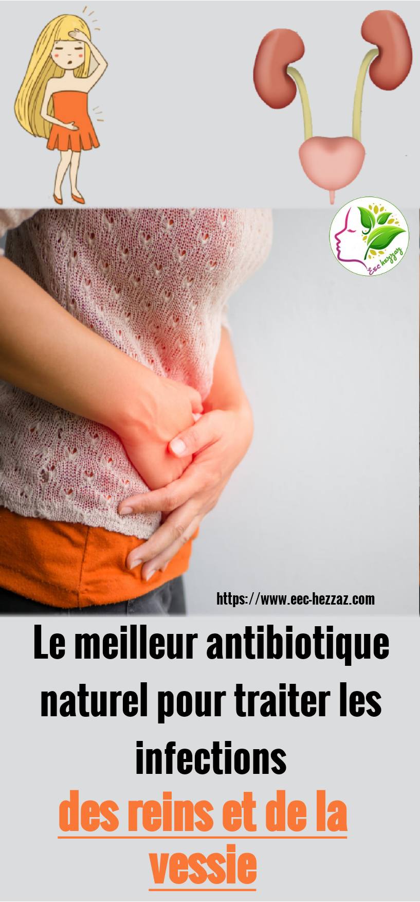 Le meilleur antibiotique naturel pour traiter les infections des reins et de la vessie