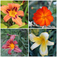 Mosaico de fotos - Quadro Flores do JotaV criado com Pixlr