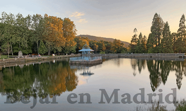 El Bosque se encuentra abierto desde mañana para su visita - 2 de marzo de 2021