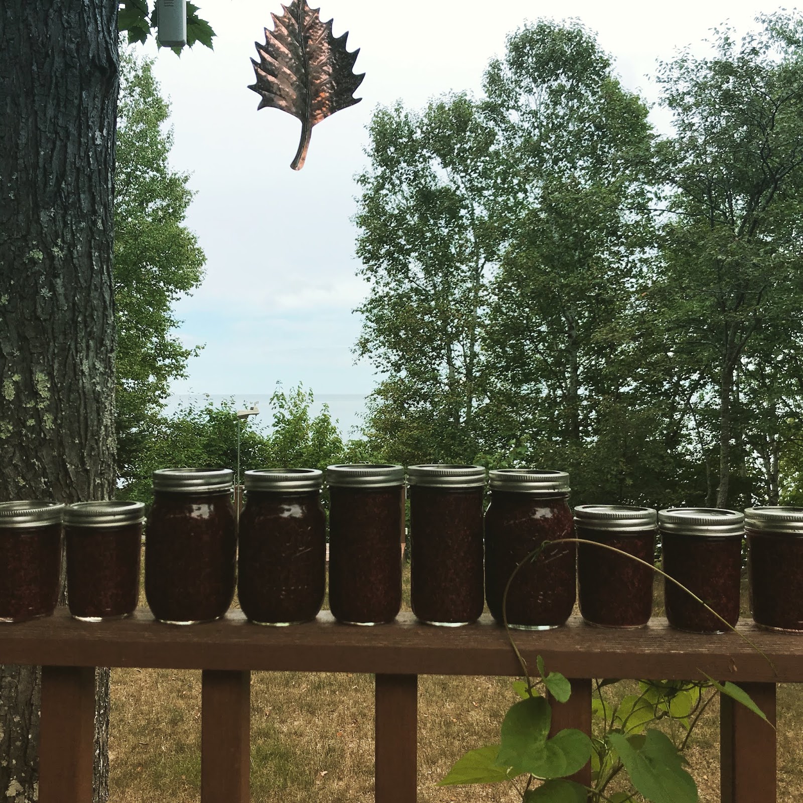 Mother's Kitchen Thimbleberry Jam 2019