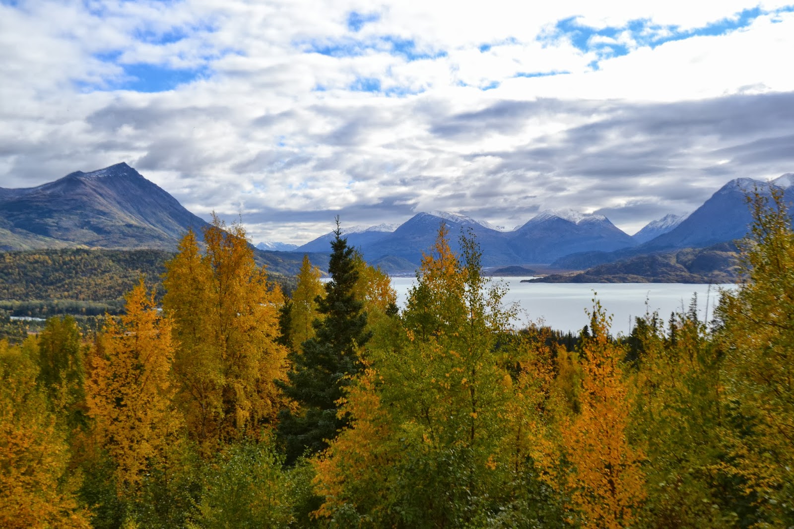 Brandon & Betty's Alaska Adventure October 2013