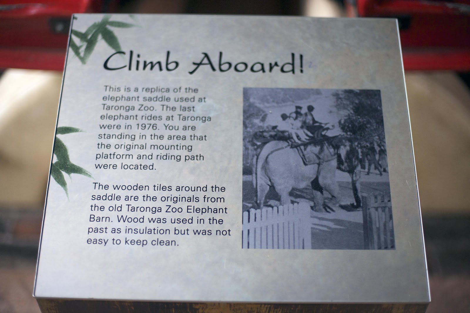 Ride Bikes, Not Elephants Sydney's Taronga Zoo